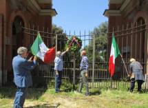 3-IMG_2981_r