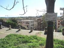 11-IMG_3851r_rid