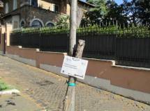 12-IMG_3850r_rid
