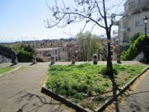 13-IMG_3846r_rid