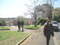 1-IMG_3852r_rid