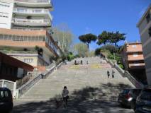 4-IMG_3845r_rid