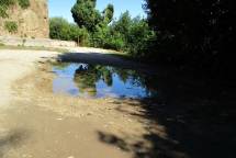 Ma queste pozzanghere nauseabonde non possono essere spianate e controllate?