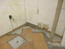 1-IMG_5387r_rid