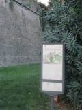 3-IMG_0800