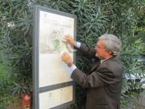 4-IMG_0807