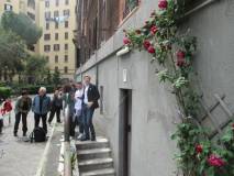 1-IMG_3596.JPG