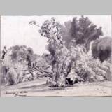 26 Villa Borghese durante l'assedio_t