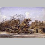 27 Alberi abbattuti a Villa Borghese_t