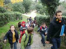 ALIM6786 Ascoli_big