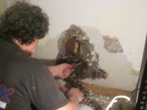 1-IMG_3656.JPG