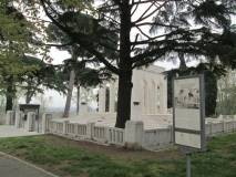 1-IMG_6136