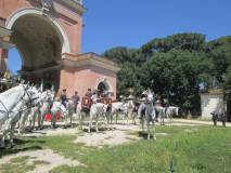 24-IMG_4280