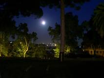 6-img_8846bis-9