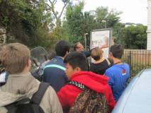 5-IMG_0381