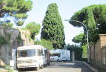 c-IMG_0012