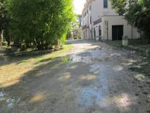 d--IMG_0124