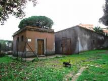 e-gabinetti a Villa Sciarra-_5651