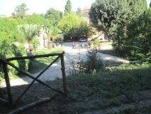 g-IMG_0301