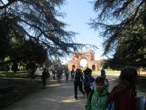 1-IMG_1108