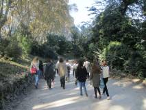 5-IMG_1152