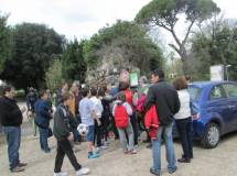 10-IMG_6182