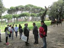 7-IMG_6168