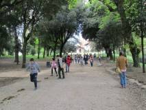 9-IMG_6178