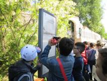 1-IMG_6700