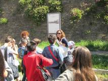 5-IMG_6724