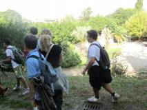 9-IMG_0541