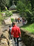 2-img_3580